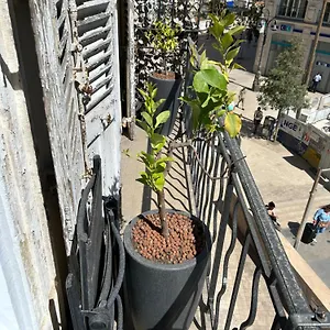 Historique Vieux Port Apartment